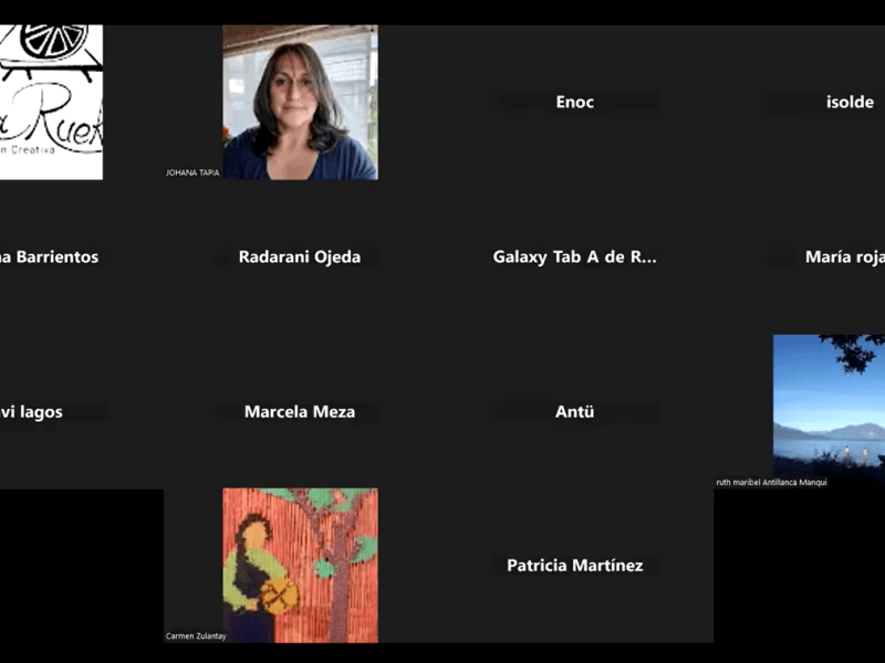 Destacadas talleristas se reúnen en la primera edición de Vamos Brotando Lago&nbsp;Ranco