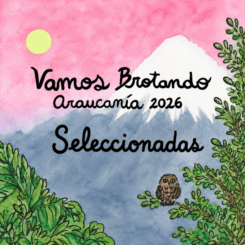 Convocatoria 2026 cerrada: 15 artesanas del textil participarán de Vamos Brotando&nbsp;Araucanía