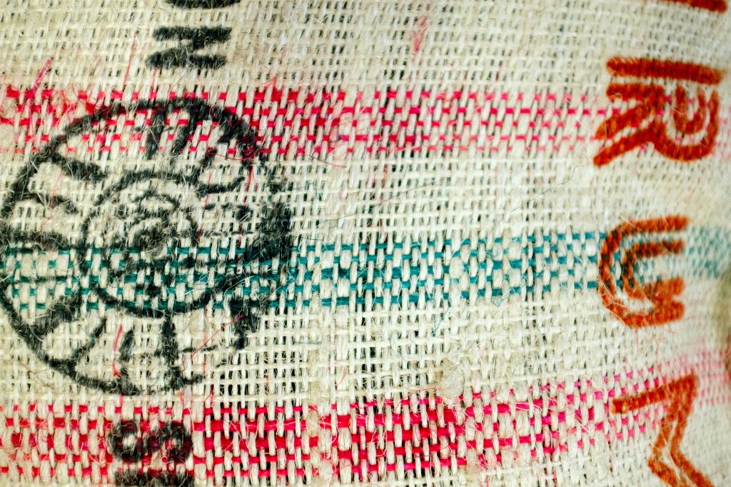 Vamos Brotando inicia su último módulo virtual con charlas sobre arpillera, memoria y&nbsp;territorio